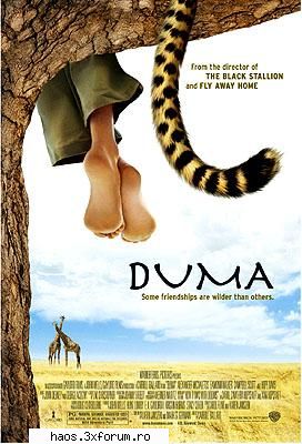 Flme noi actuale pe piata - YAVANNA - Filme