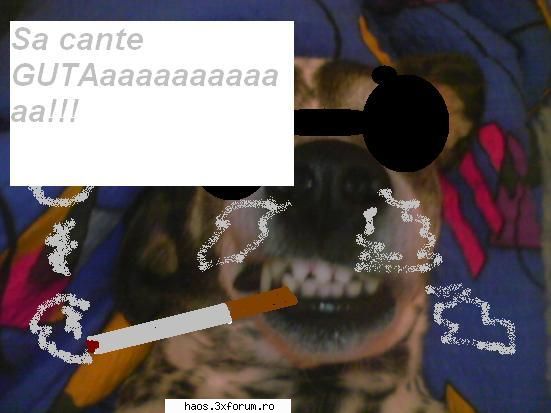 MANELE?? - poti sa mori ascultandu-l pe guta, in dormitor - Muzica